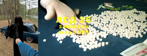 ГАЛЛЮЦИНОГЕННЫЕ ГРИБЫ Горняк