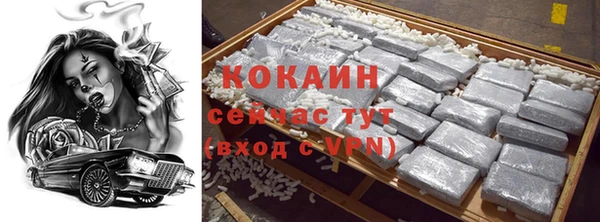 ГАЛЛЮЦИНОГЕННЫЕ ГРИБЫ Горняк