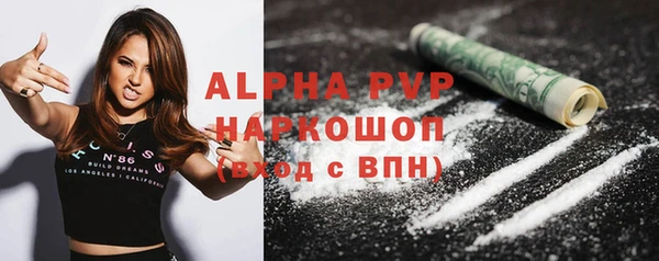 ГАЛЛЮЦИНОГЕННЫЕ ГРИБЫ Горняк